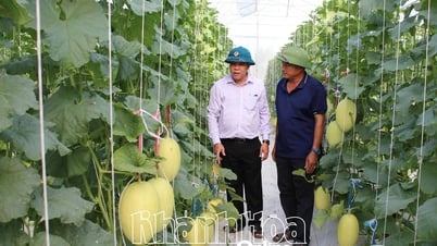 Nông nghiệp công nghệ cao phát huy hiệu quả trên vùng nắng hạn