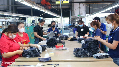 Hội đồng Tiền lương quốc gia chốt đề xuất tăng lương tối thiểu vùng ở mức 7,2%