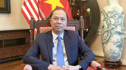 30 năm quan hệ Việt Nam - Hoa Kỳ: Hành trình hiếm có trong quan hệ quốc tế
