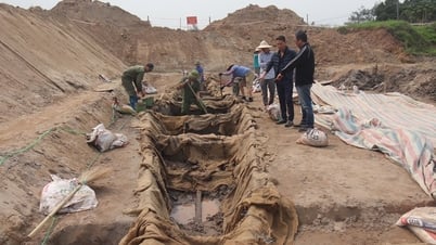 Câu hỏi cần lời giải đáp