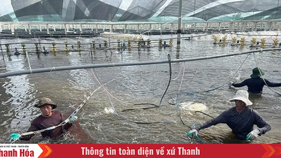 Khi công nghệ thành “bạn đồng hành”