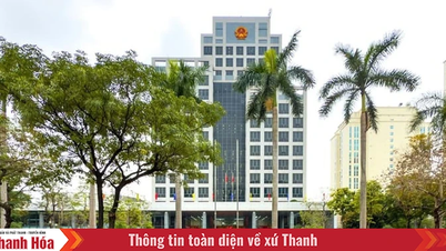 Từ 10/7, Bộ Nội vụ có 2 đơn vị sự nghiệp công lập trực thuộc