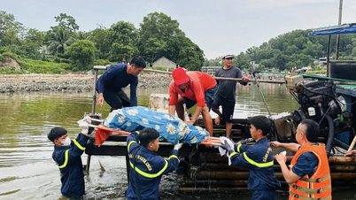 Tìm thấy thi thể cháu bé mất tích khi tắm biển
