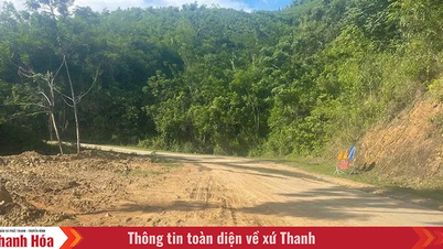Kiến nghị nâng cấp, mở rộng đường tỉnh 521E