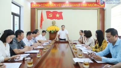 Xây dựng xã Kỳ Thượng trở thành vùng kinh tế lâm nghiệp bền vững, hướng tới phát triển du lịch sinh thái