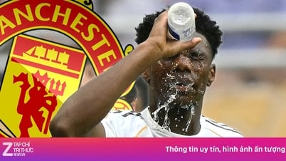 MU hỏi mua Tchouameni với giá 78 triệu bảng