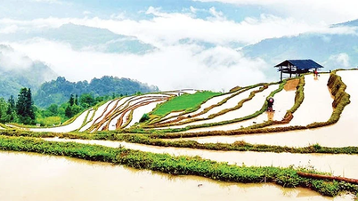 Mùa nước đổ ở Hoàng Su Phì