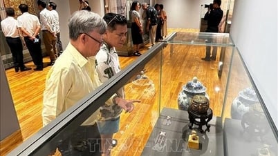 Đà Nẵng giới thiệu hơn 200 cổ vật quý hiếm đến công chúng