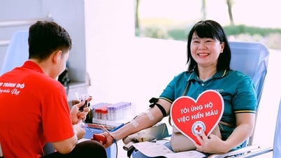 Ngày hội hiến máu “Giọt hồng An Giang” năm 2025