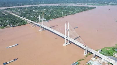 Cầu Rạch Miễu 2 dự kiến khai thác vào đầu tháng 9-2025