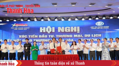 Xúc tiến thương mại và kết nối giao thương Thanh Hóa - Hải Phòng