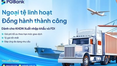 PGBANK triển khai gói ưu đãi tài chính toàn diện dành cho doanh nghiệp xuất nhập khẩu và FDI