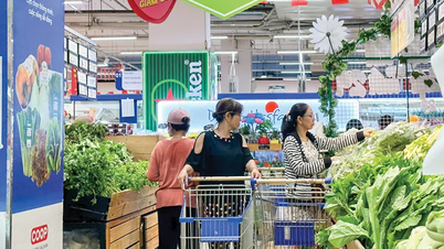 TP Cần Thơ thu nội địa 6 tháng đầu năm 2025 đạt 55,9% dự toán