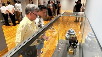 Đà Nẵng giới thiệu hơn 200 cổ vật quý hiếm