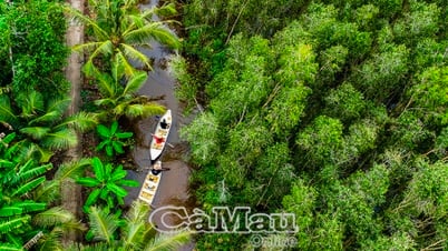 Sinh kế trên đất rừng U Minh Hạ
