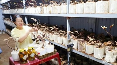 Chuyển đổi số tại Thái Nguyên: Từ khẩu hiệu đến hành động