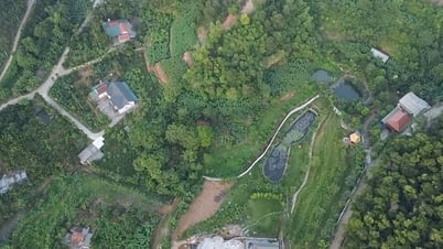 Tin tức đặc biệt trên báo in Hànộimới ngày 12-7-2025