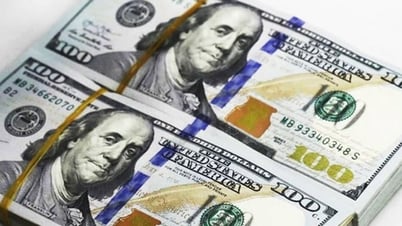 Tỷ giá USD hôm nay (12-7): Đồng USD tiếp tục tăng giá