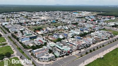 Phó thủ tướng Trần Hồng Hà giao 3 bộ hướng dẫn Đồng Nai điều chỉnh Dự án thu hồi đất, bồi thường, hỗ trợ, tái định cư Sân bay Long Thành