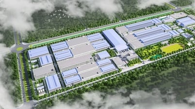Công ty TNHH Công Nghệ Bảo Hộ Kanglongda Việt Nam: Bền bỉ kiến tạo giá trị cho khách hàng
