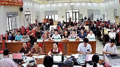 Phòng giao dịch Ngân hàng chính sách xã hội Hà Đông: Gần 6.000 khách hàng vay vốn tại 7 chương trình