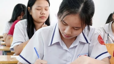 TP.HCM công bố kết quả phúc khảo lớp 10 vào ngày mai, 13.7