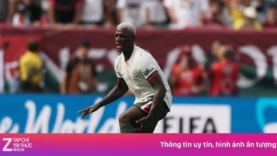 Caicedo xứng danh bom tấn 116 triệu euro