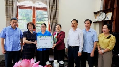 Đoàn công tác của tỉnh thăm, tặng quà gia đình chính sách