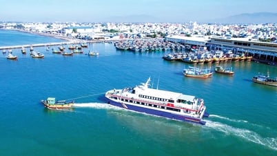 Professeur Dr. Mai Trong Nhuan, enseignant du peuple : Lam Dong dispose d'un nouveau secteur économique maritime en phase avec les tendances mondiales.