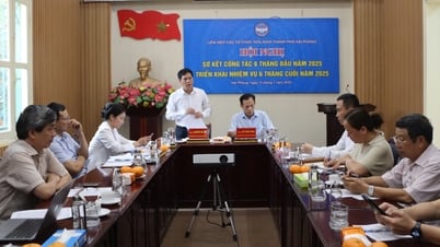 Hải Phòng triển khai 5 trọng tâm công tác đối ngoại nhân dân trong 6 tháng cuối năm