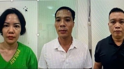 Vụ bác sĩ rởm lập phòng khám "ma": Bộ Y tế yêu cầu báo cáo cấp phép hoạt động