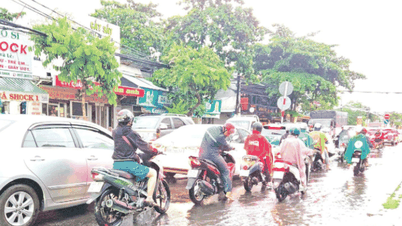 Cục Đường bộ Việt Nam làm chủ đầu tư Dự án 3 tuyến Quốc lộ kết nối vùng Đồng bằng sông Cửu Long