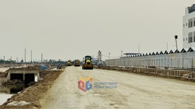 Escasez de materiales de relleno para parques industriales