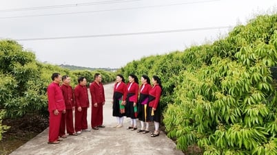 Bắc Ninh: Dặt dìu câu hát Soọng cô