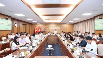 Phân định rõ giữa các loại hình đào tạo cấp bằng