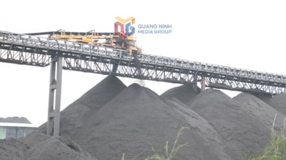 TKV: Giữ vững nhịp độ sản xuất, đảm bảo mục tiêu tăng trưởng