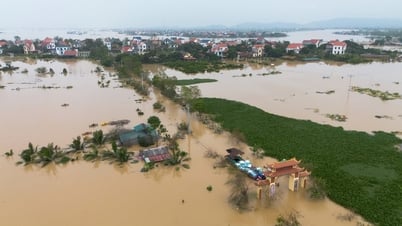 Hải Phòng chủ động phòng ngừa, ứng phó, khắc phục hậu quả thiên tai
