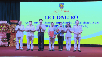 Ông Nguyễn Xuân Hồng giữ chức Trưởng Thi hành án dân sự tỉnh Gia Lai