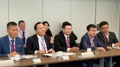 Deputy Minister Nguyen Hoang Long attends a seminar on offshore wind power in the UK