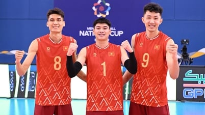 Trực tuyến bóng chuyền nam Việt Nam - Indonesia (14h)