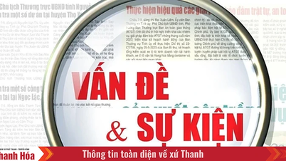 Chấm điểm cán bộ thuế 