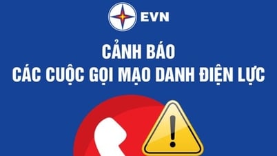 Cảnh báo lợi dụng sáp nhập tỉnh, thành để lừa đảo tiền điện