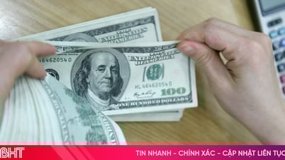Tỷ giá USD hôm nay 12/7/2025: Đồng USD giữ vững vị thế