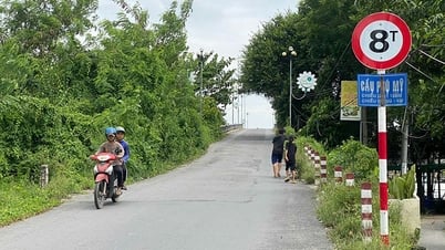Trở về với thiên nhiên trên làng Phú Mỹ xanh
