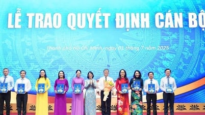 Phân công lĩnh vực phụ trách của Ban giám đốc Sở GD-ĐT TP.HCM sau sáp nhập