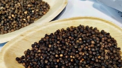 Tin tức, dự báo giá tiêu ngày 13/7: Chuỗi ngày lặng sóng trước mùa mưa lớn