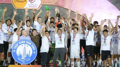VPF thông báo về V-League 2025/2026