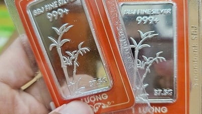 Đầu tư bạc tăng giá, kênh đầu tư mới thay thế vàng hấp dẫn