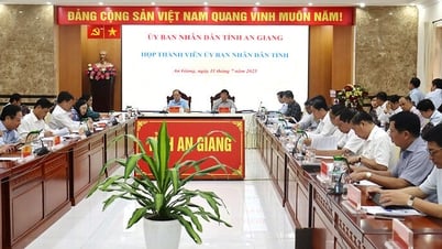 Thành viên UBND tỉnh An Giang thông qua 8 văn bản trình Hội đồng nhân dân tỉnh