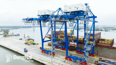 Phát triển khu thương mại tự do - động lực tăng trưởng trong kỷ nguyên mới
